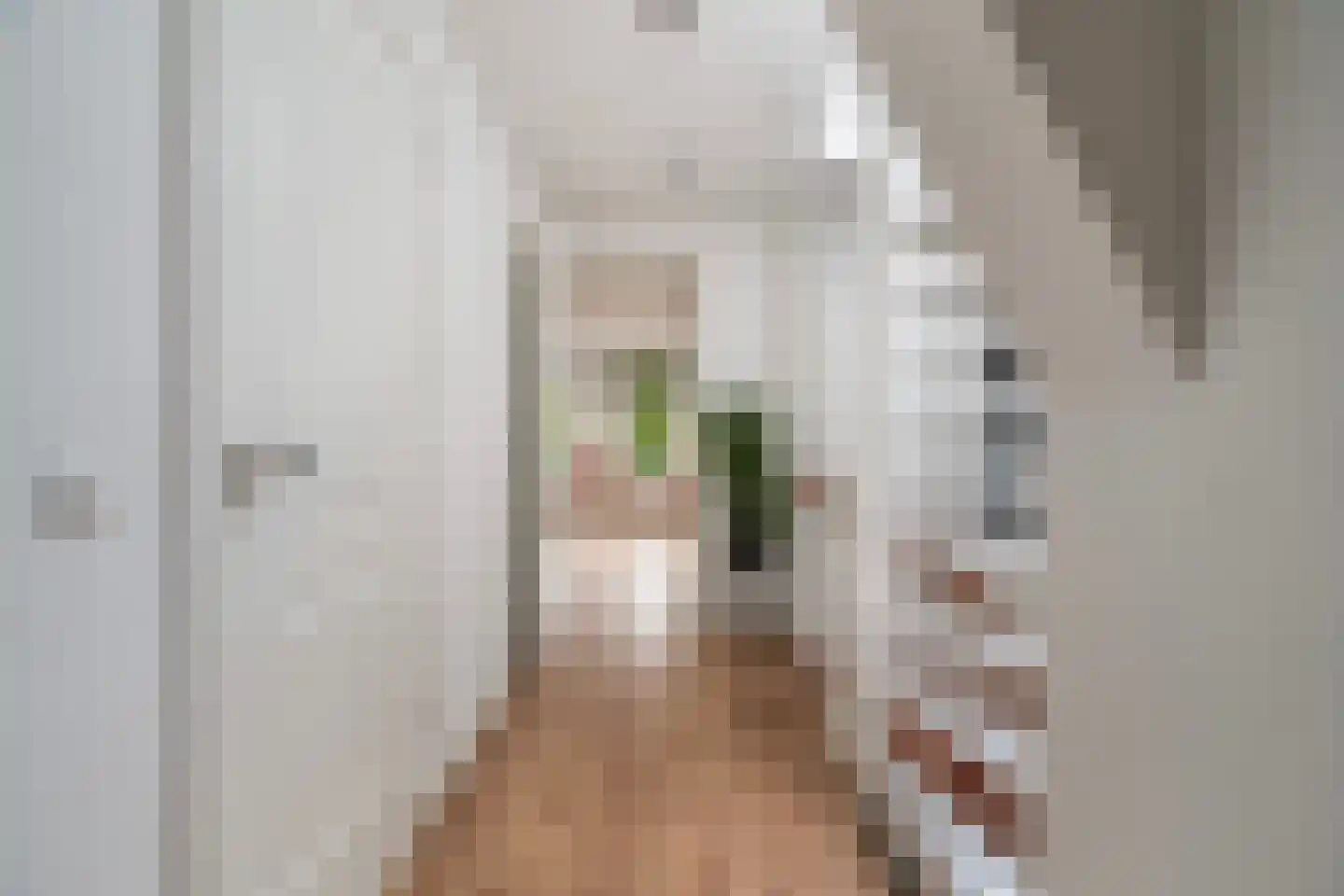 Witte van Haemstedestraat 5 B Rotterdam thumbnail 32