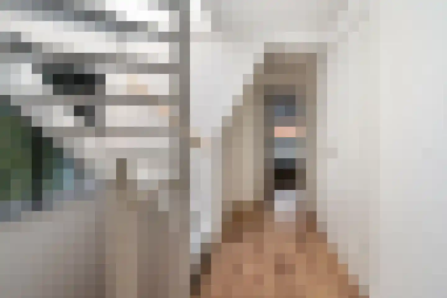 Witte van Haemstedestraat 5 B Rotterdam thumbnail 33