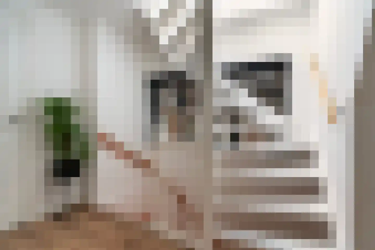 Witte van Haemstedestraat 5 B Rotterdam thumbnail 34