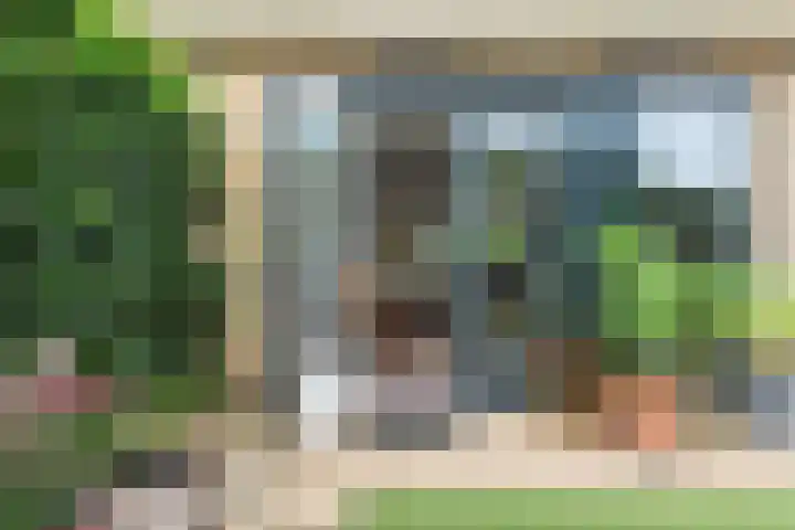 Witte Veld 36 Zandvoort thumbnail 10