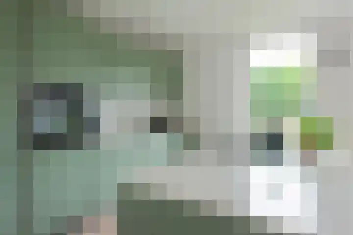 Witte Veld 36 Zandvoort thumbnail 12
