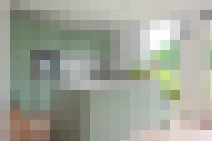 Witte Veld 36 Zandvoort thumbnail 4