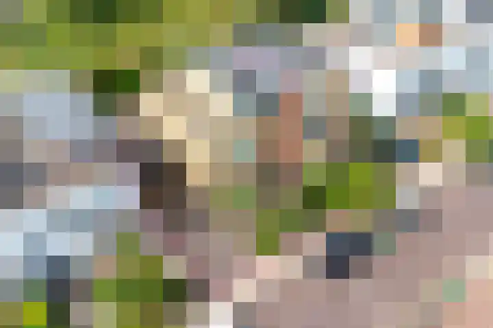 Witte Veld 36 Zandvoort thumbnail 40