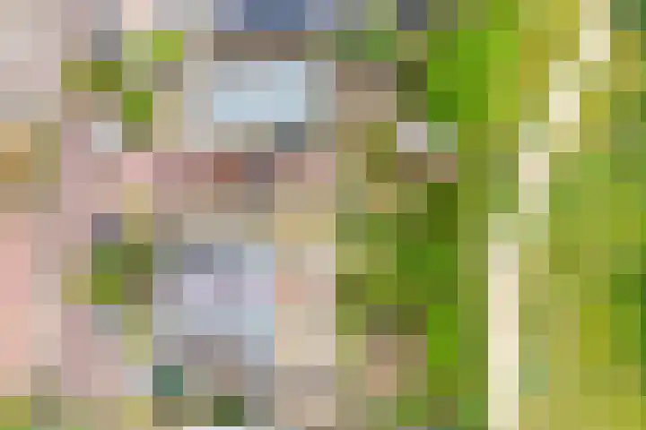 Witte Veld 36 Zandvoort thumbnail 41