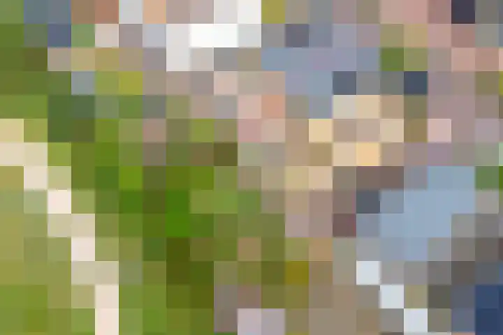 Witte Veld 36 Zandvoort thumbnail 42