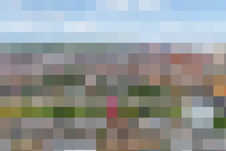 Witte Veld 36 Zandvoort thumbnail 43