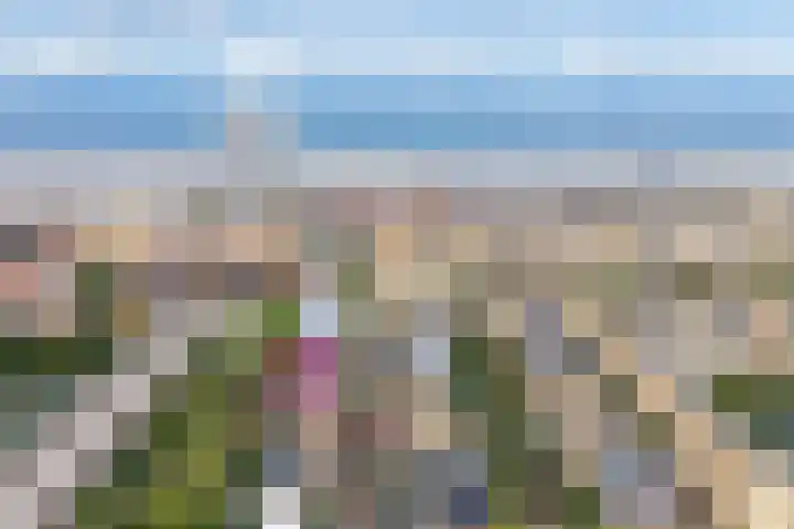 Witte Veld 36 Zandvoort thumbnail 44