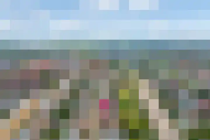 Witte Veld 36 Zandvoort thumbnail 46