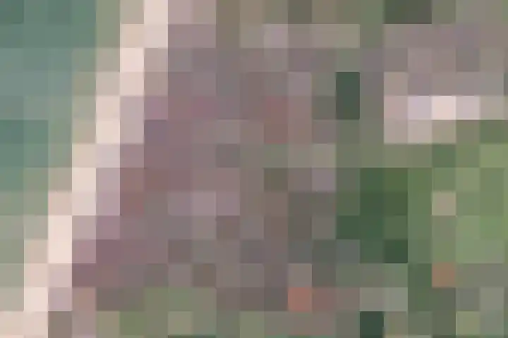 Witte Veld 36 Zandvoort thumbnail 47