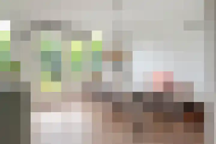Witte Veld 36 Zandvoort thumbnail 5