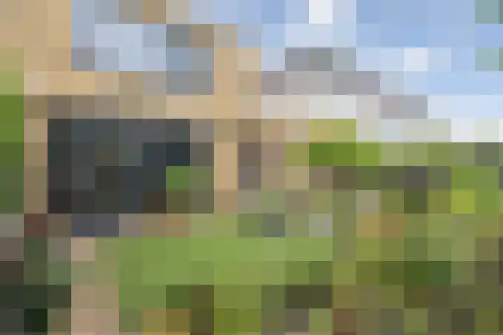 Witte Veld 36 Zandvoort thumbnail 6