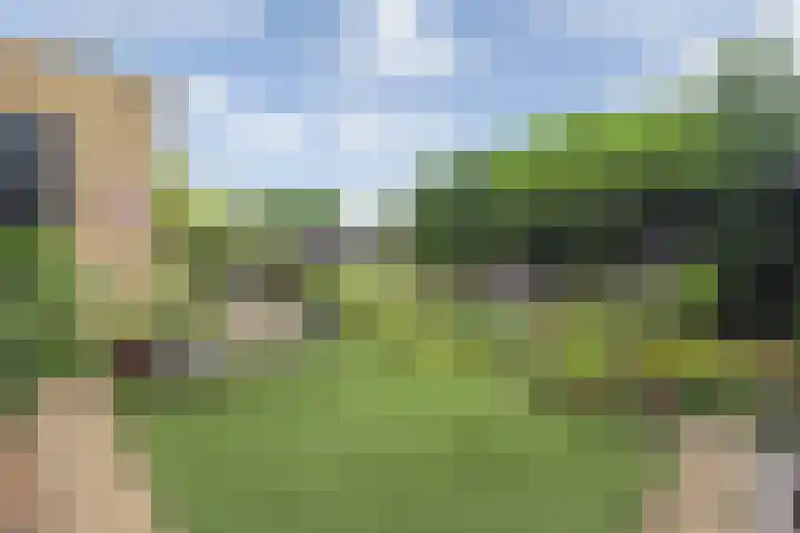 Witte Veld 36 Zandvoort thumbnail 7