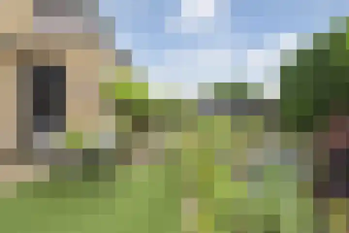Witte Veld 36 Zandvoort thumbnail 8