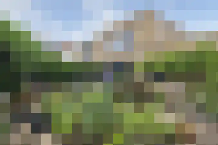 Witte Veld 36 Zandvoort thumbnail 9