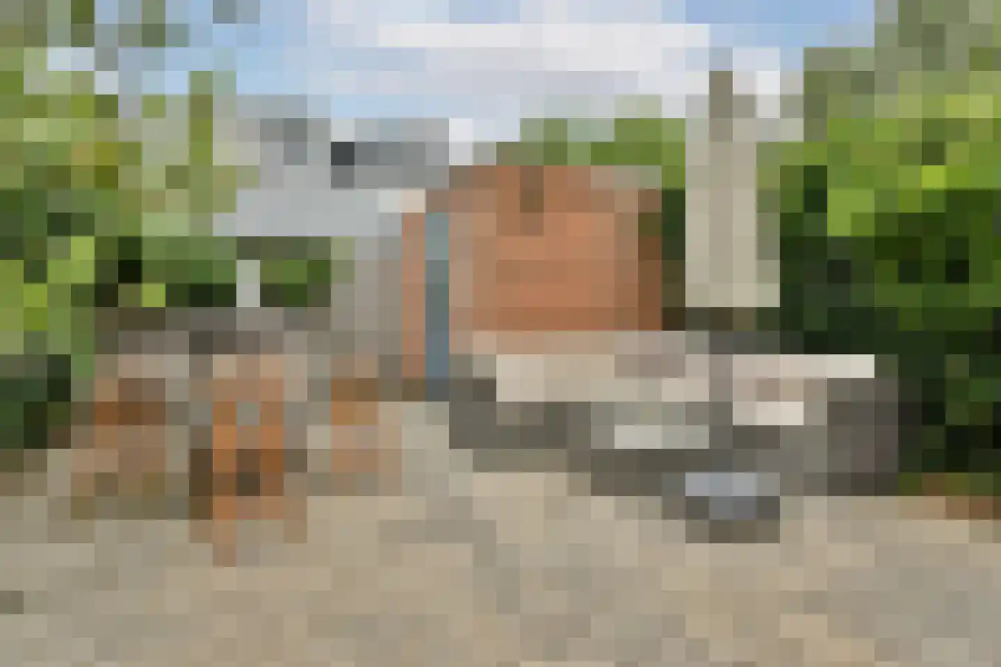 Witte Veld 7 Zandvoort thumbnail 16