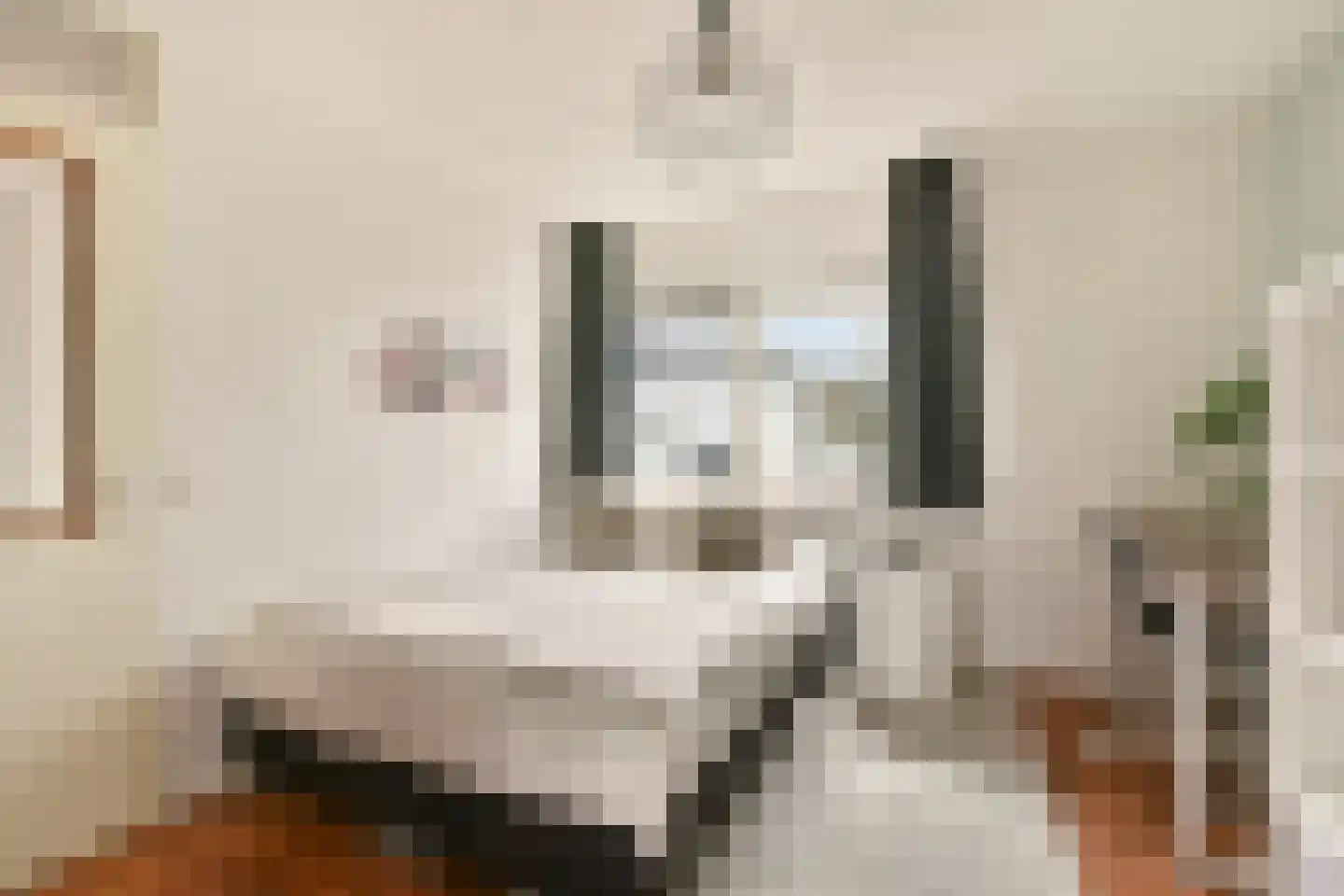 Witte Veld 7 Zandvoort thumbnail 20