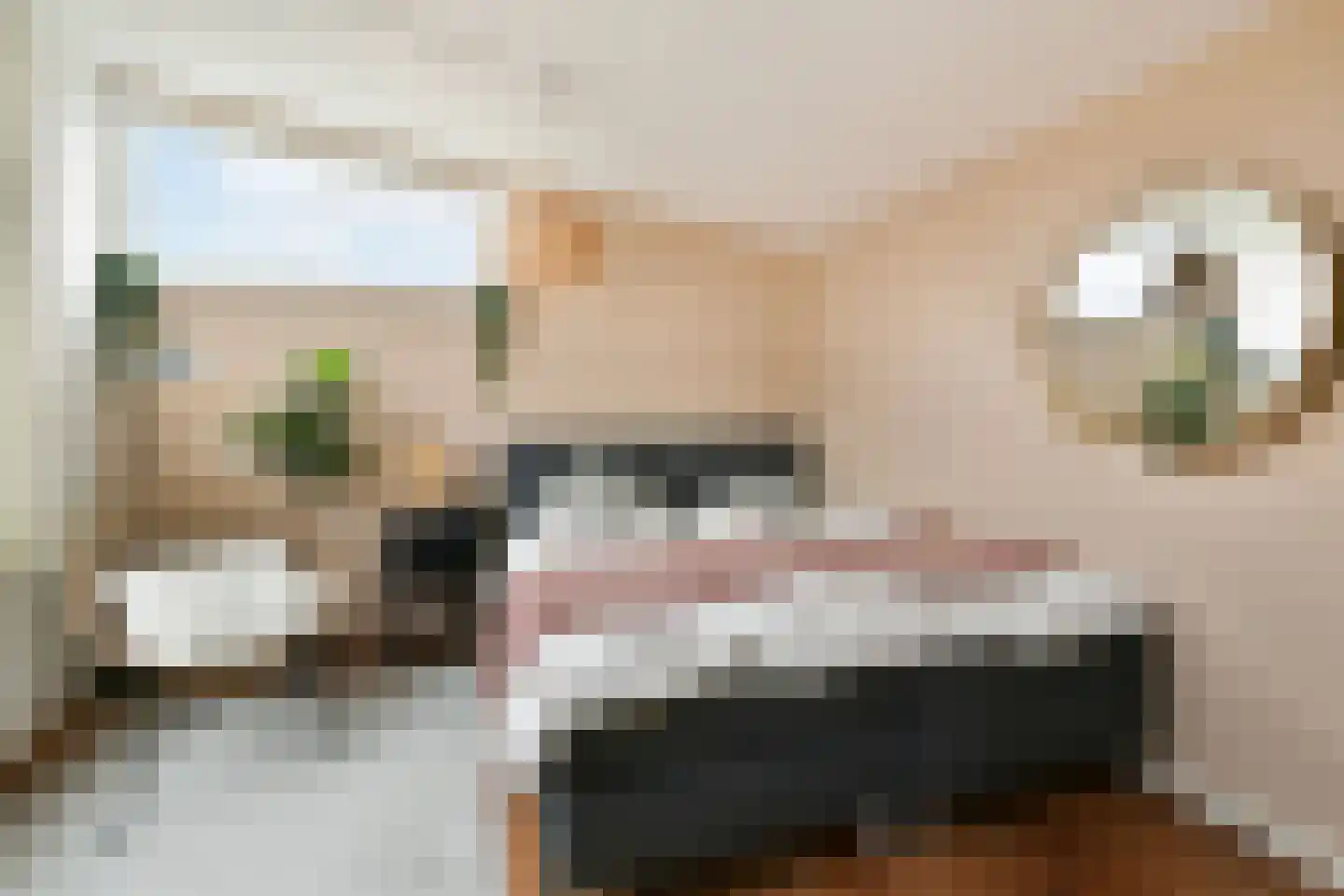 Witte Veld 7 Zandvoort thumbnail 27