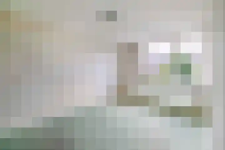 Witte Venstraat 14 Uitgeest thumbnail 20