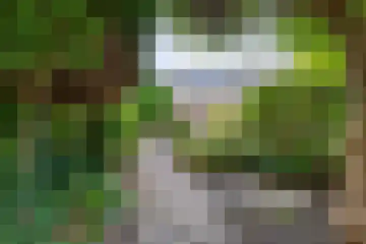 Witte Venstraat 14 Uitgeest thumbnail 30