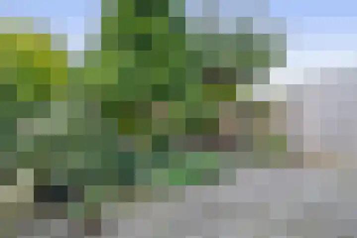 Witte Venstraat 14 Uitgeest thumbnail 31