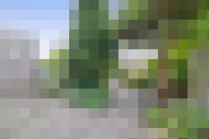 Witte Venstraat 14 Uitgeest thumbnail 4