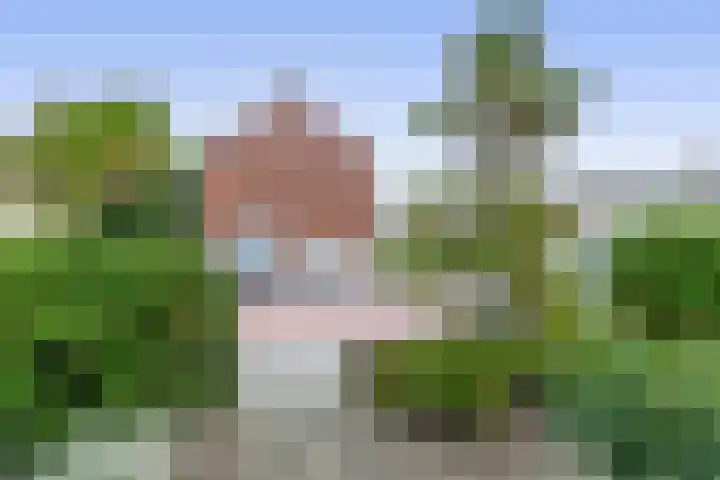 Witte Venstraat 14 Uitgeest thumbnail 7