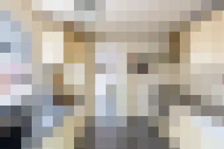 Witte Vrouwenstraat 2 Oostrum thumbnail 11