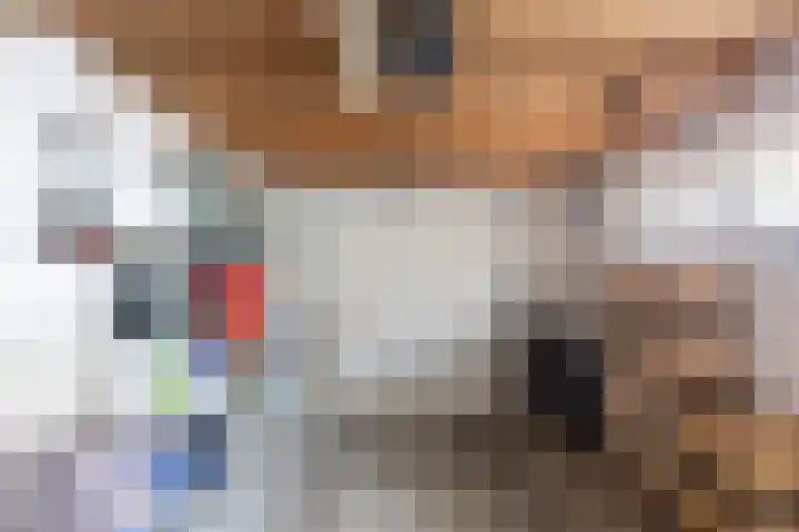 Witte Vrouwenstraat 2 Oostrum thumbnail 30