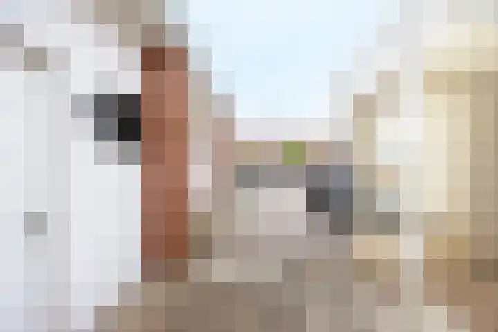 Witte Vrouwenstraat 2 Oostrum thumbnail 32