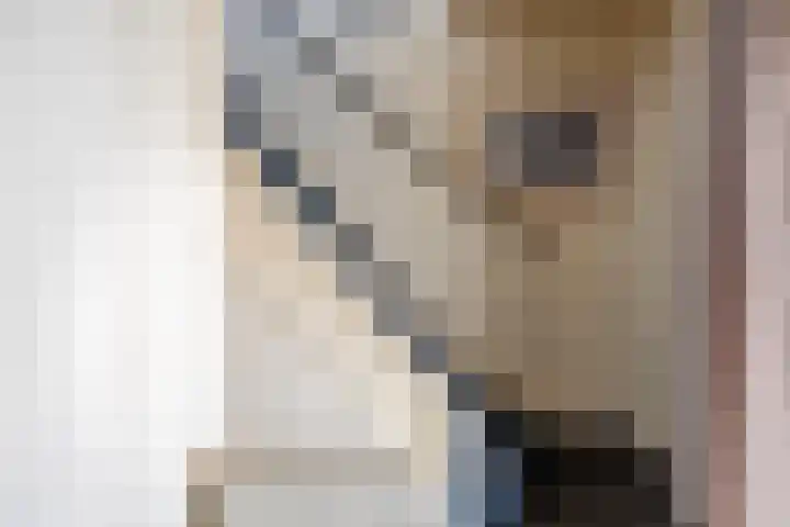 Witte Vrouwenstraat 2 Oostrum thumbnail 4