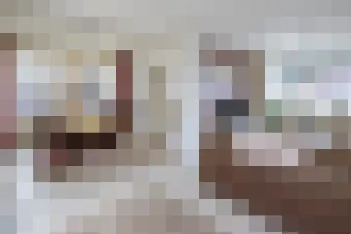 Witte Vrouwenstraat 2 Oostrum thumbnail 9