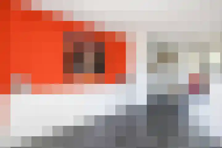 Witte Wal 74 Amersfoort thumbnail 13
