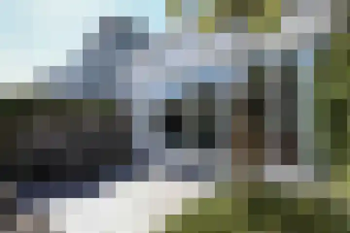 Witte Wal 74 Amersfoort thumbnail 34