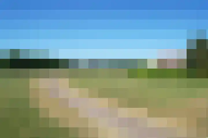 Witte Wal 74 Amersfoort thumbnail 42