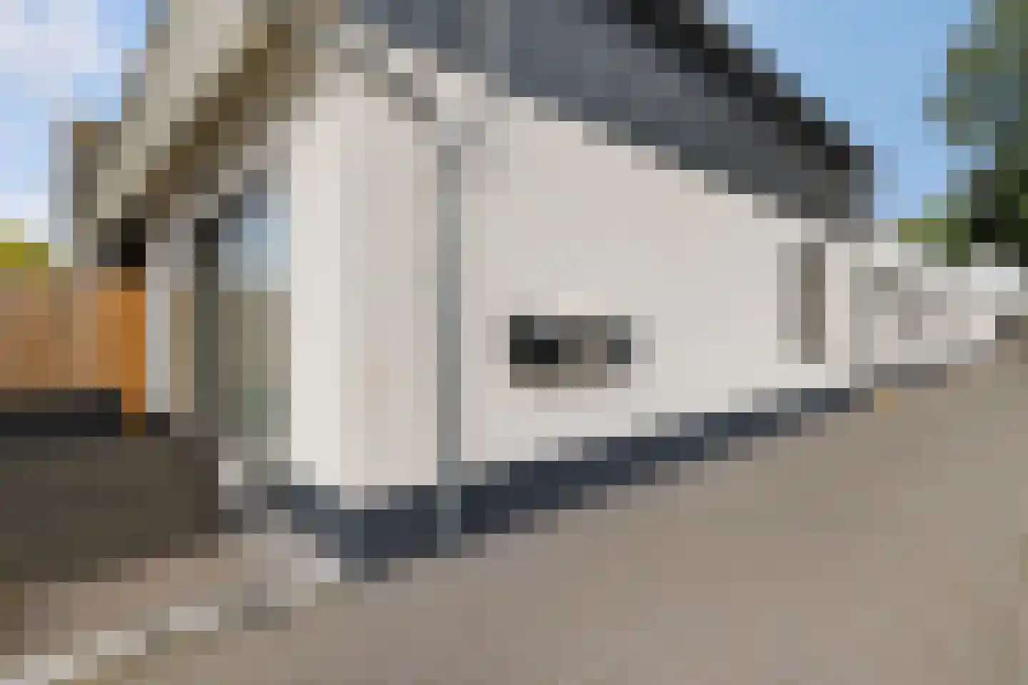 Witte Zand 17 a Oosterhesselen thumbnail 27