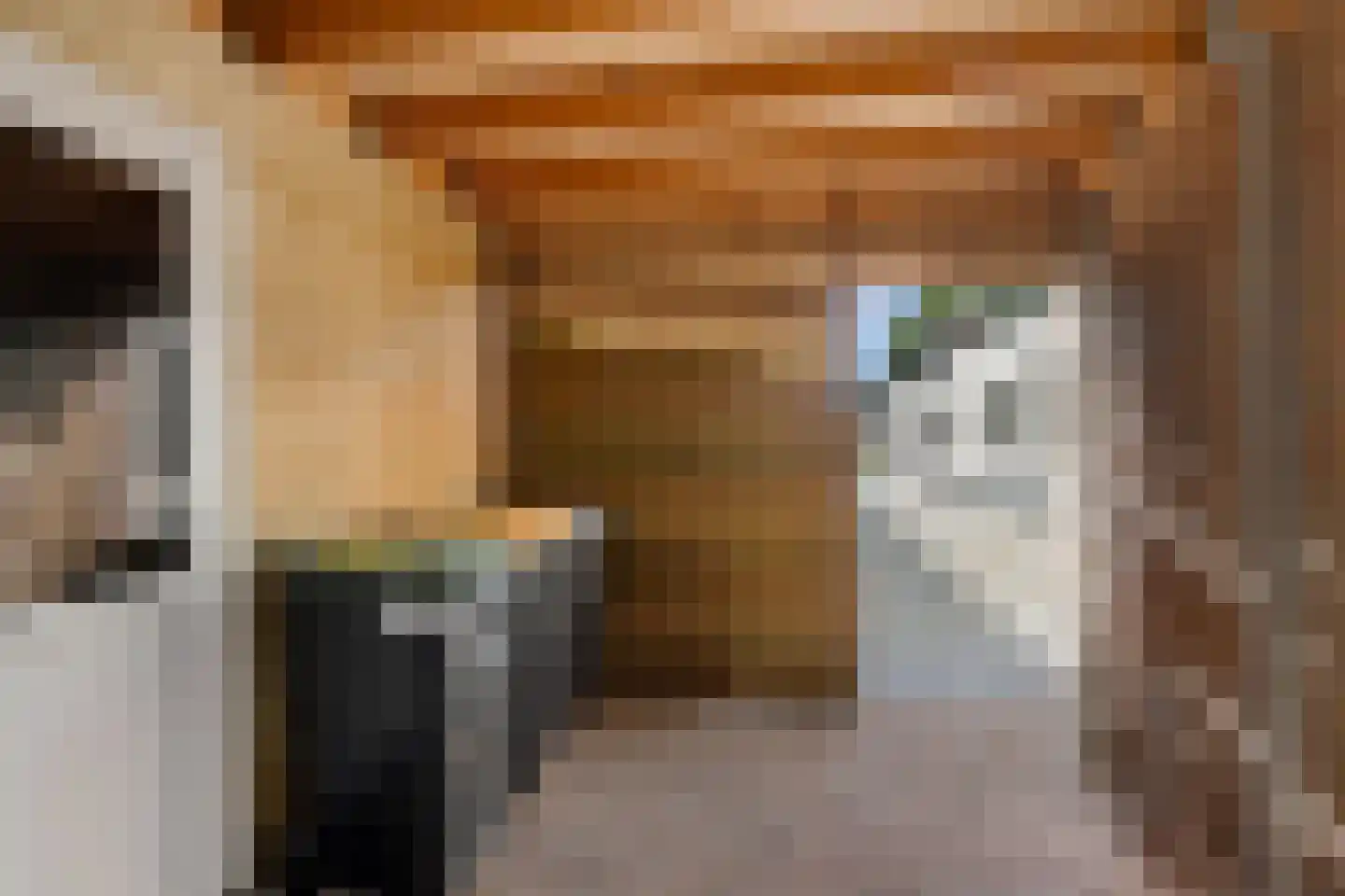 Witte Zand 17 a Oosterhesselen thumbnail 29