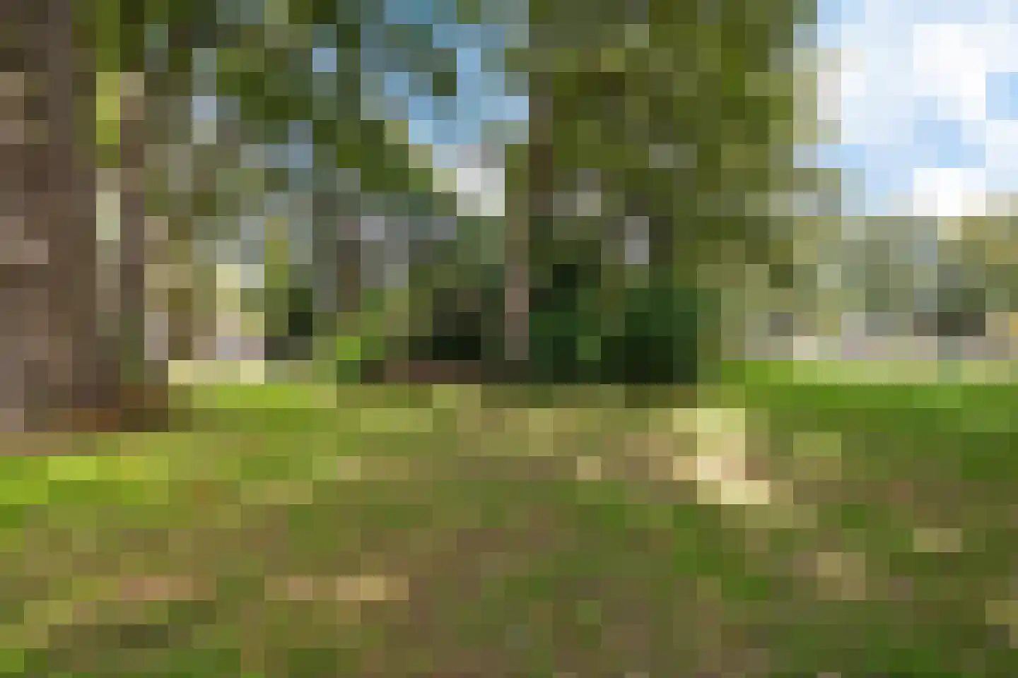 Witte Zand 17 a Oosterhesselen thumbnail 30