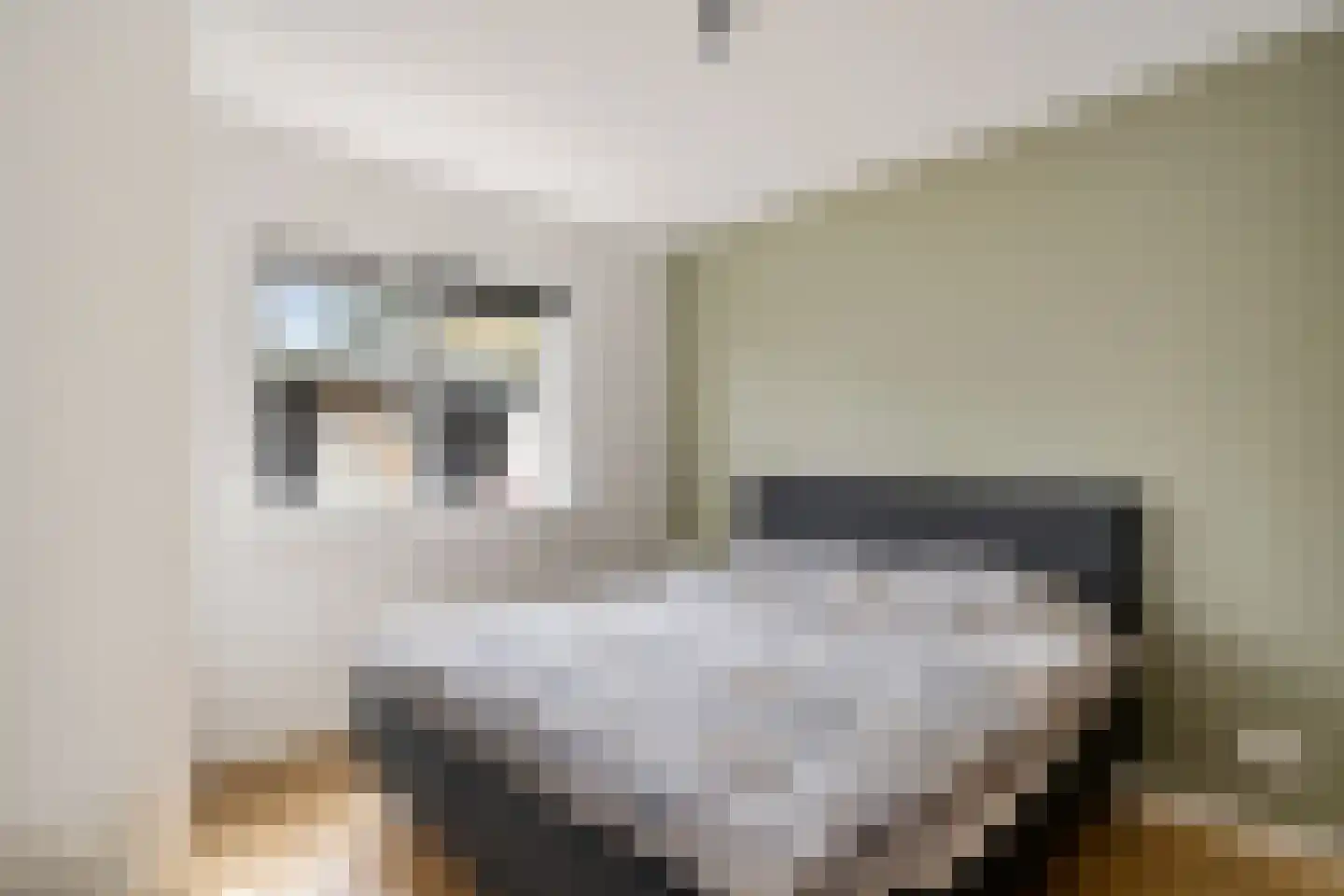 Witte Zand 17 c Oosterhesselen thumbnail 17