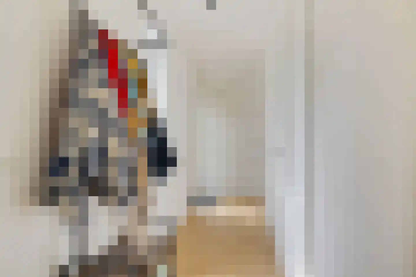 Witte Zand 17 c Oosterhesselen thumbnail 24