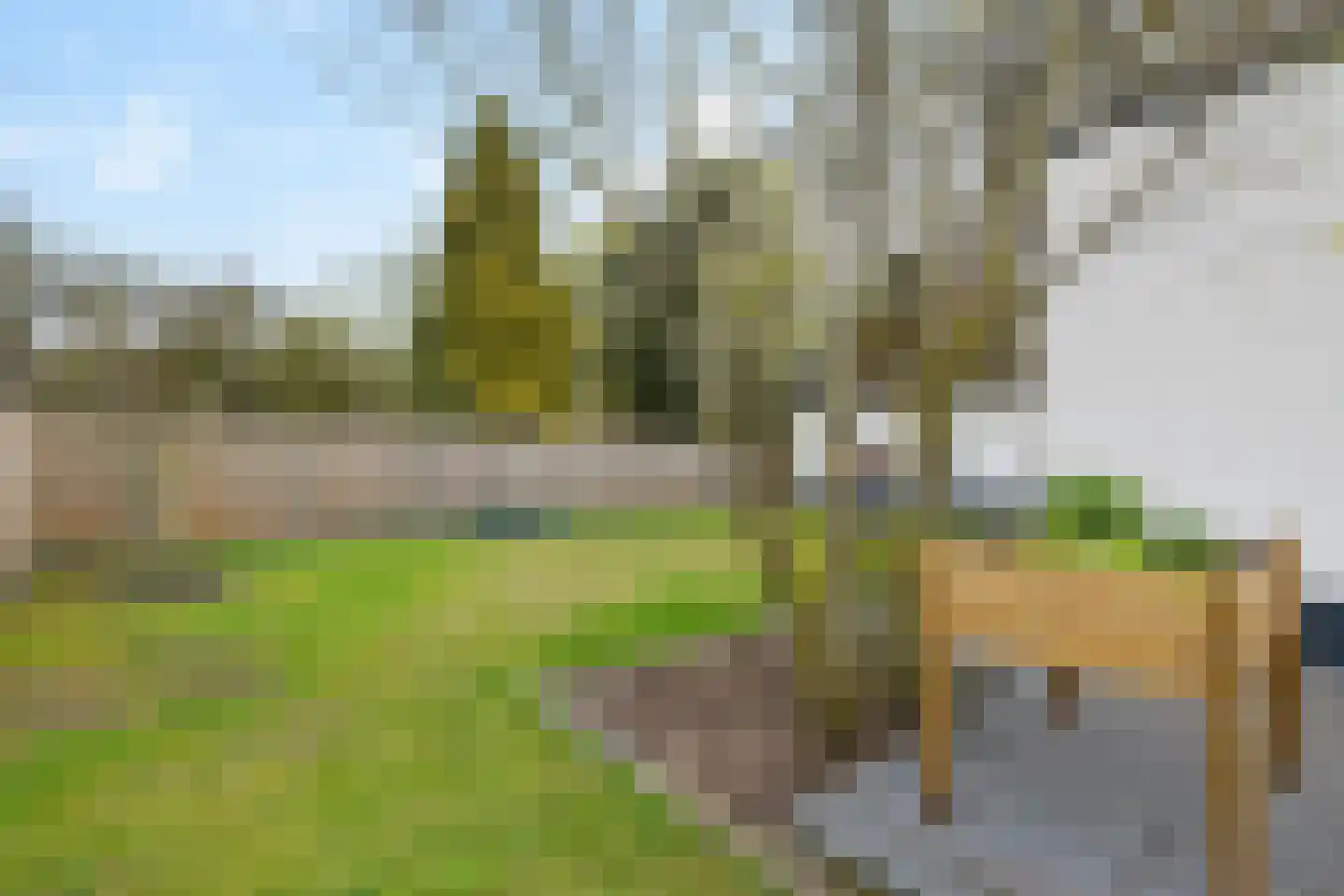 Witte Zand 17 c Oosterhesselen thumbnail 31