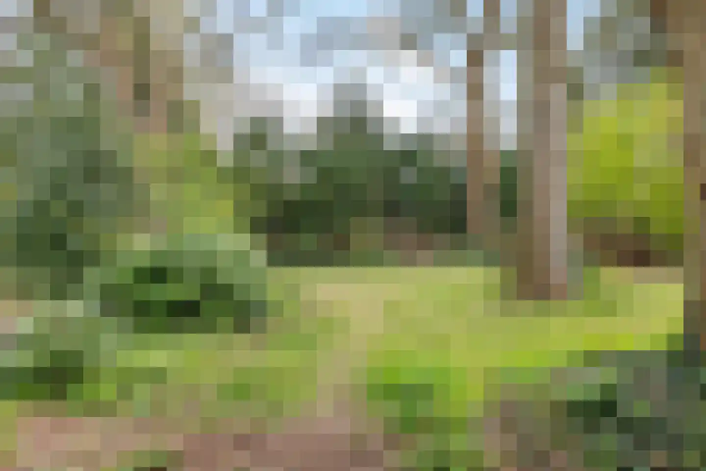 Witte Zand 17 c Oosterhesselen thumbnail 35