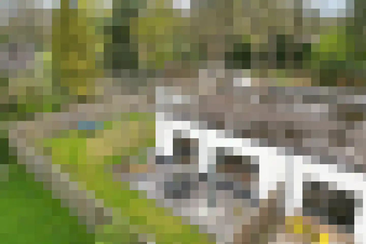 Witte Zand 17 c Oosterhesselen thumbnail 40