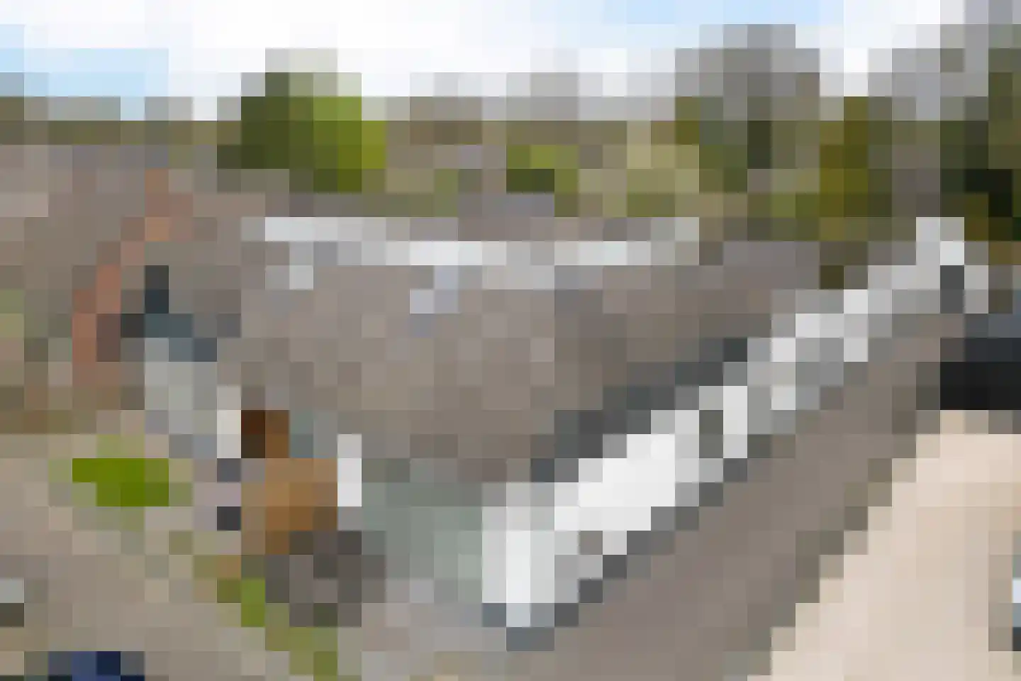 Witte Zand 17 c Oosterhesselen thumbnail 43