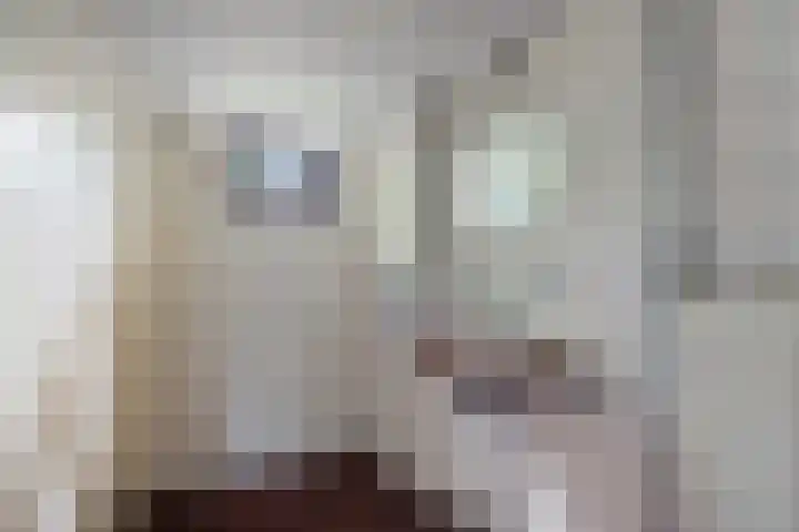 Witte Zand 19 a Oosterhesselen thumbnail 16