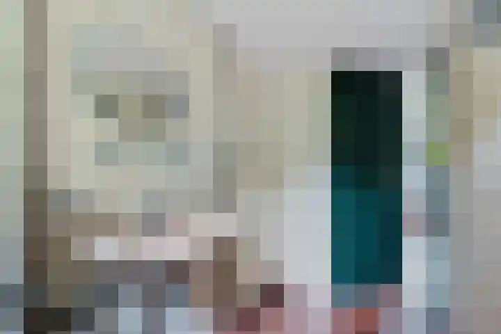 Witte Zand 19 a Oosterhesselen thumbnail 17