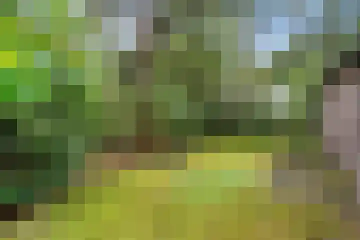 Witte Zand 19 a Oosterhesselen thumbnail 25