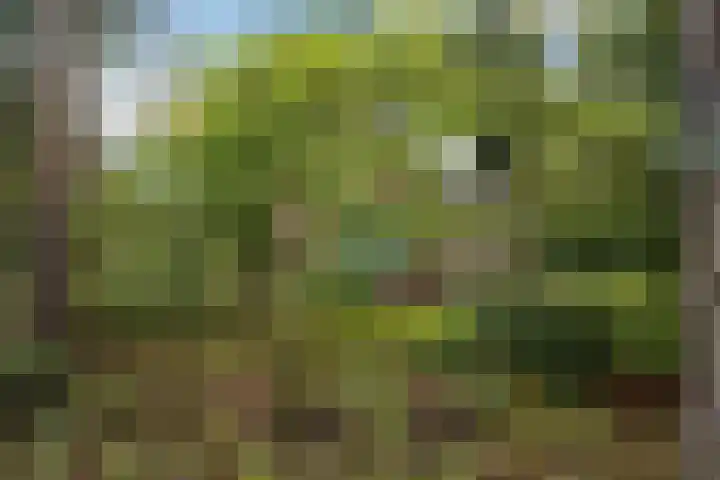Witte Zand 19 a Oosterhesselen thumbnail 26