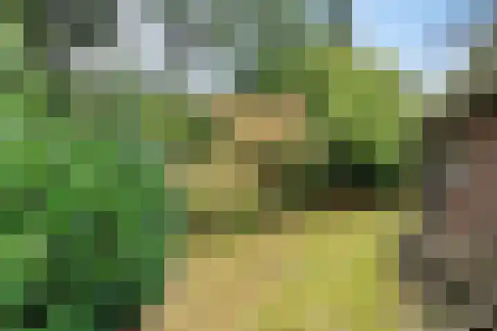 Witte Zand 19 a Oosterhesselen thumbnail 27