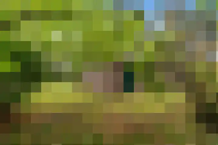 Witte Zand 19 a Oosterhesselen thumbnail 28