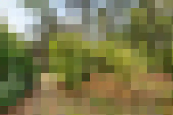 Witte Zand 19 a Oosterhesselen thumbnail 29